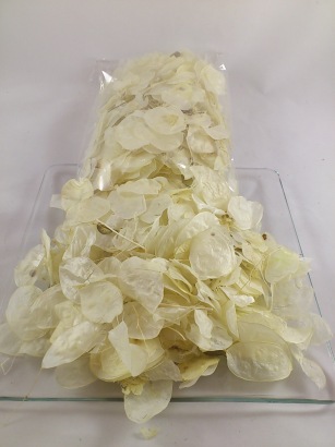 Lunaria (judaspenning) 40 gr.